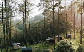 Bobocabin Padusan